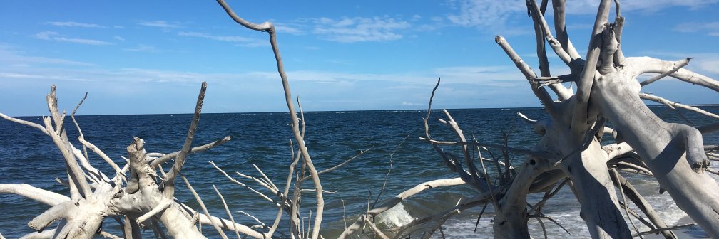 ratherbfishing2yc banner