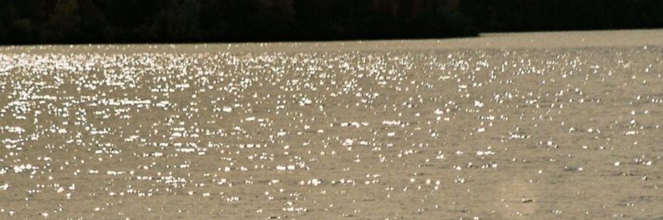 licen92's profile banner image
