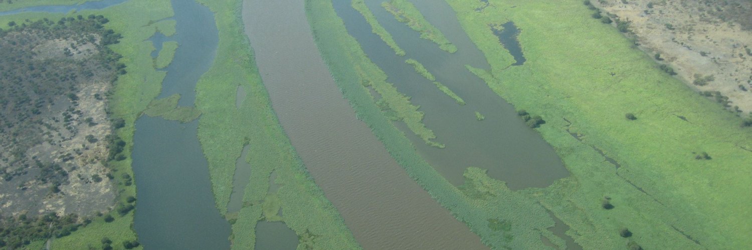 Global Health@LMIC banner