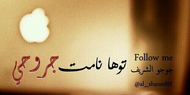 al_shareef02's profile banner image