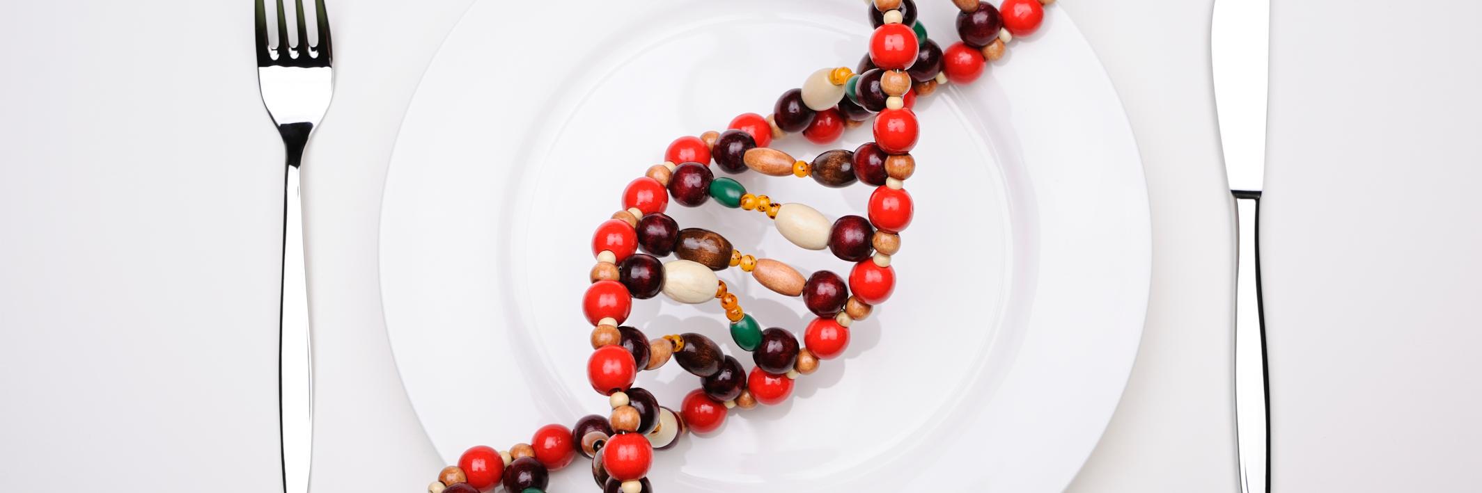 Food4Me_EU's profile banner image