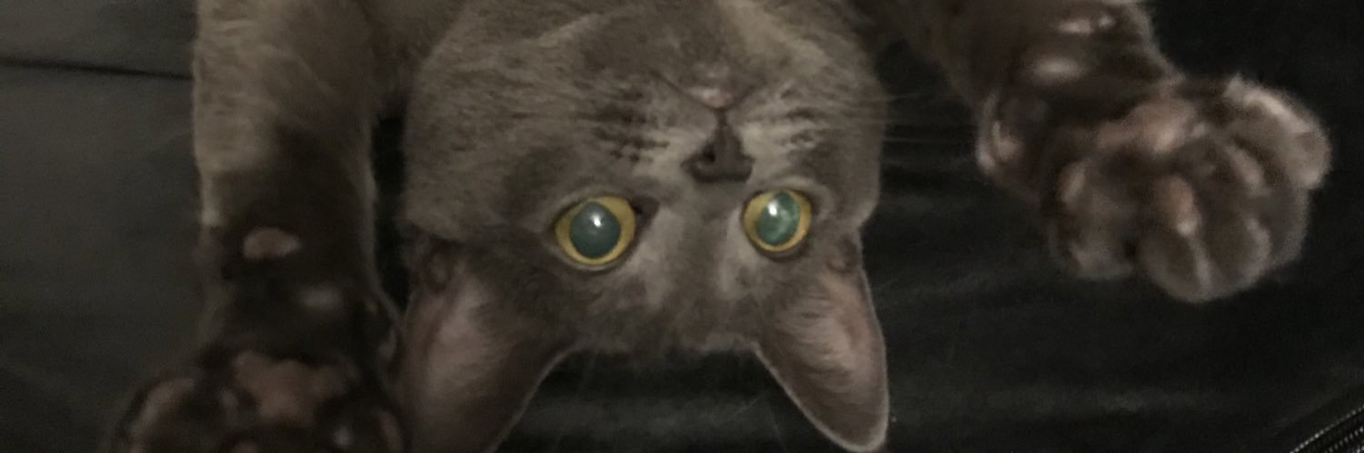 annajdamrow's profile banner image