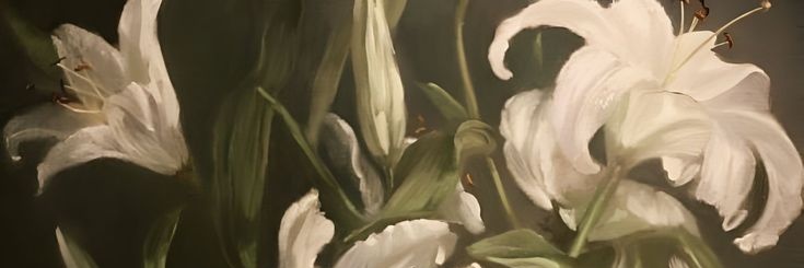 veronicasanova0's profile banner image