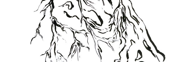 aliceyuanzhang Profile Banner