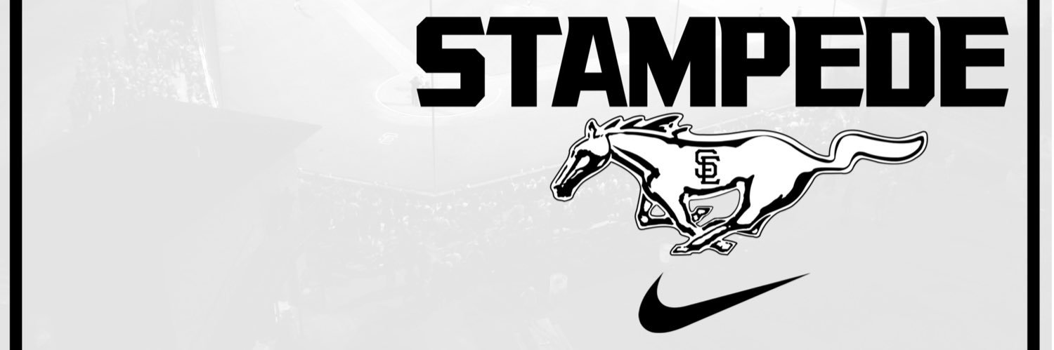 Stanhope Elmore Baseball banner