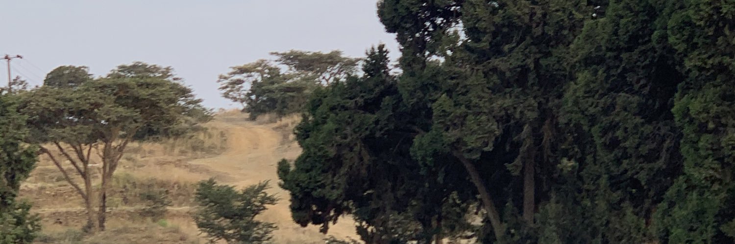 Refgn's profile banner image