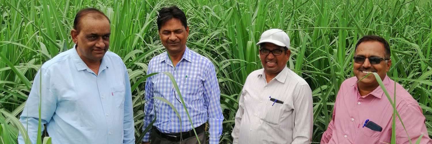 Scdi Amroha banner
