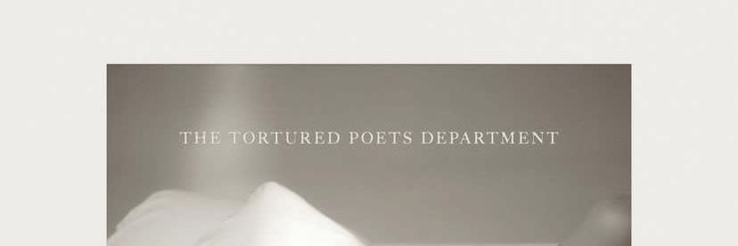 nina || (taylor's version) banner