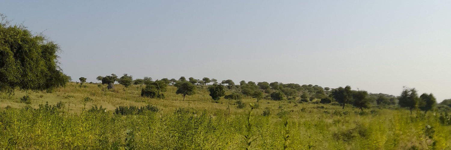 PashoPasha's profile banner image