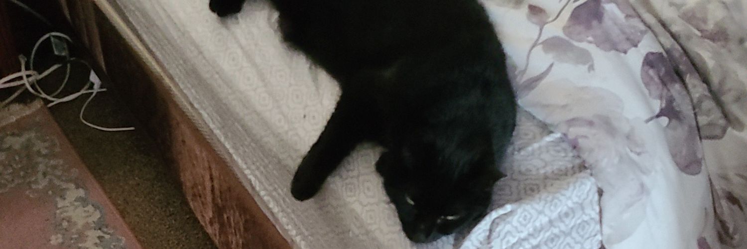 Mark Drafahl🇺🇸🇺🇦🚫DMs💙💙🦋🦋🌈🌈 banner