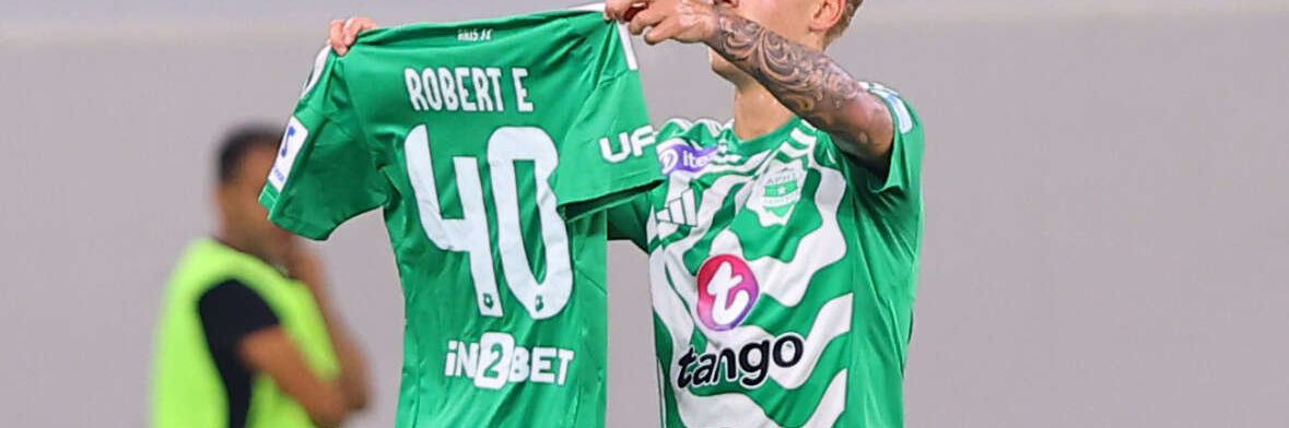 Robert Ergas banner