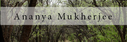 ananyaa_mjee's profile banner image