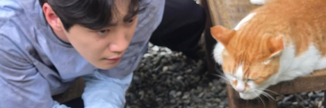 Jun banner