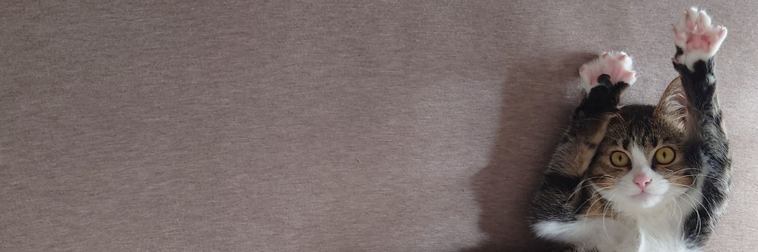 てらさわホーク banner