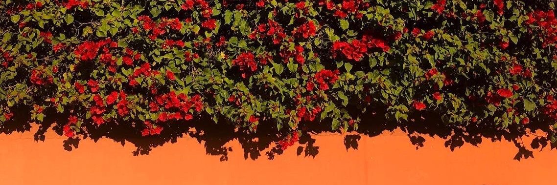 lauratarresp's profile banner image