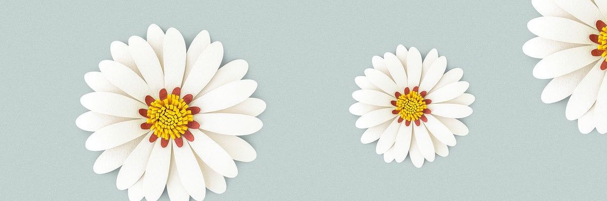 miss_pollio's profile banner image