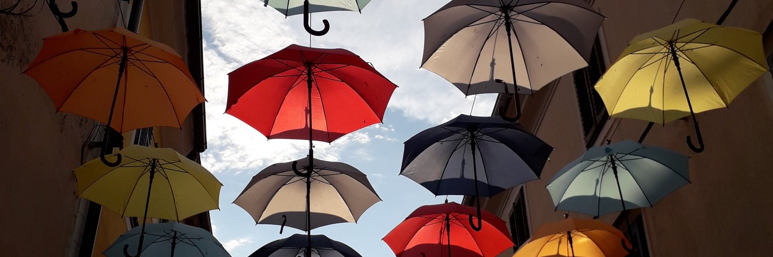 Jitka Adensamová 🇨🇿 💙💛🌈 banner