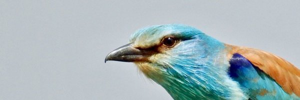 Tay_PJT Profile Banner