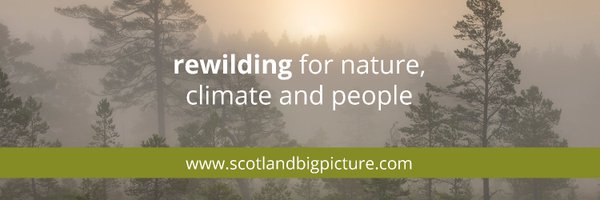PCairnsPhoto Profile Banner