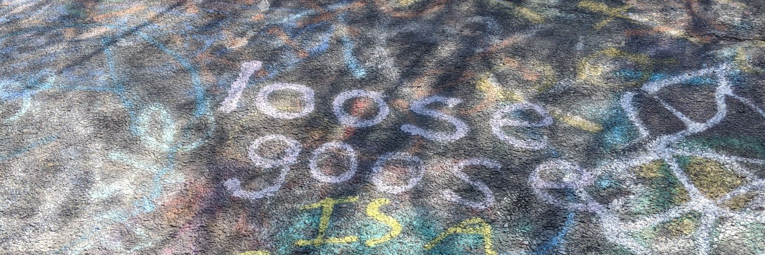 global_goose's profile banner image