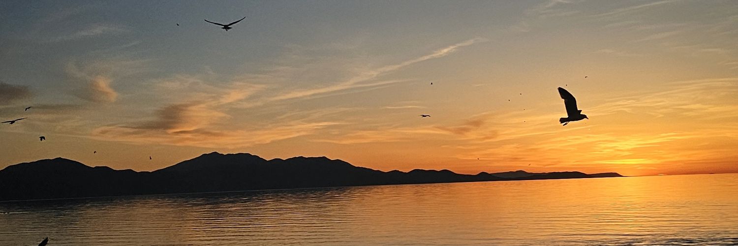 uumutt77's profile banner image