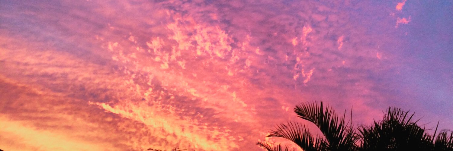 Kristie Batten banner