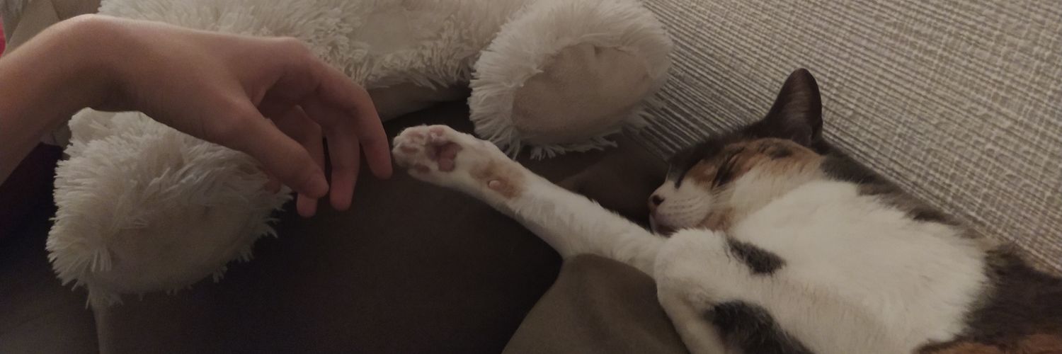 bemyhemmoagain's profile banner image