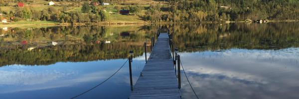 Synn163 Profile Banner