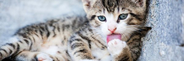 statis_man Profile Banner