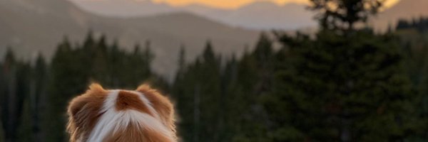zac_in_truth Profile Banner