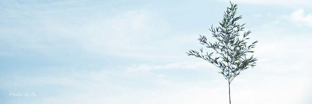 ของมันต้องรีวิว banner