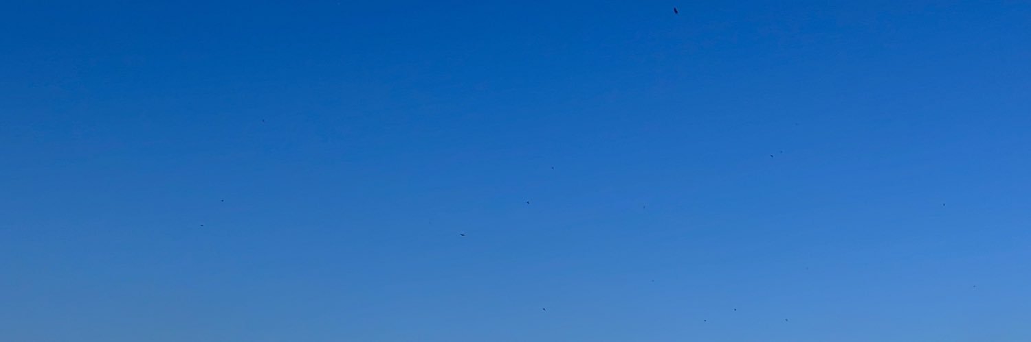 aceitunitos's profile banner image