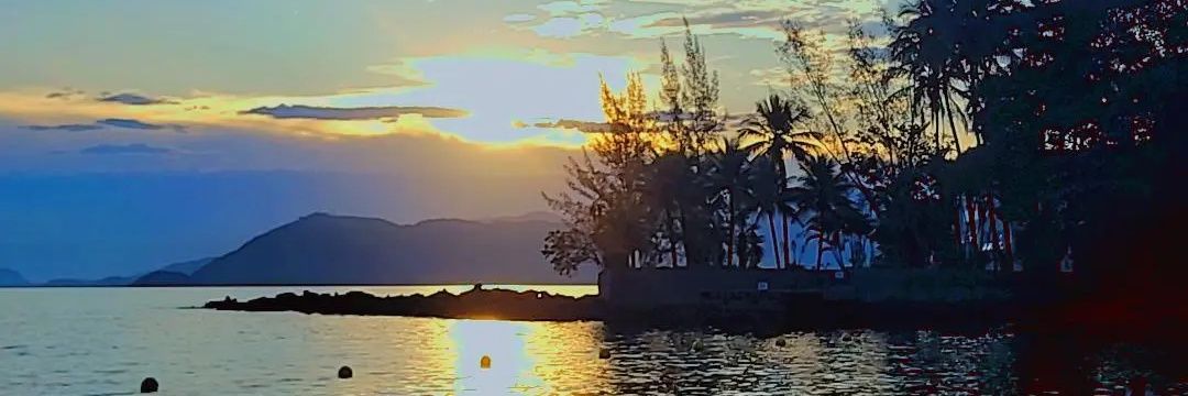 B I S M A R K banner