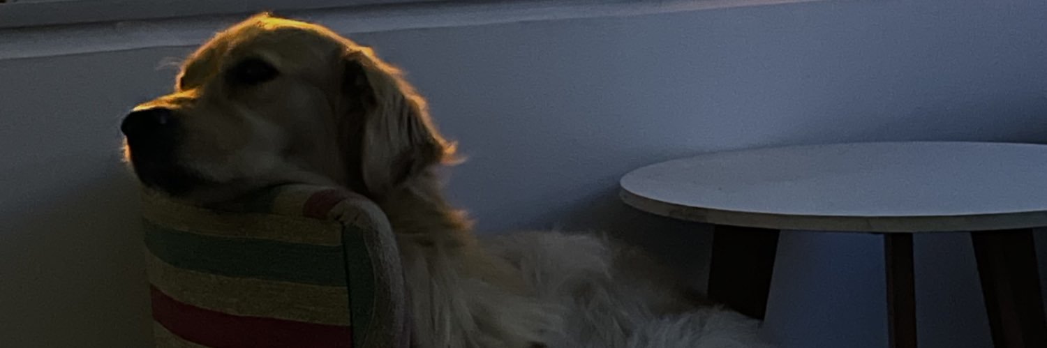 ValennGould's profile banner image