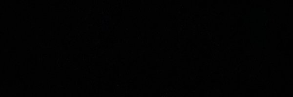 gray_dwts Profile Banner