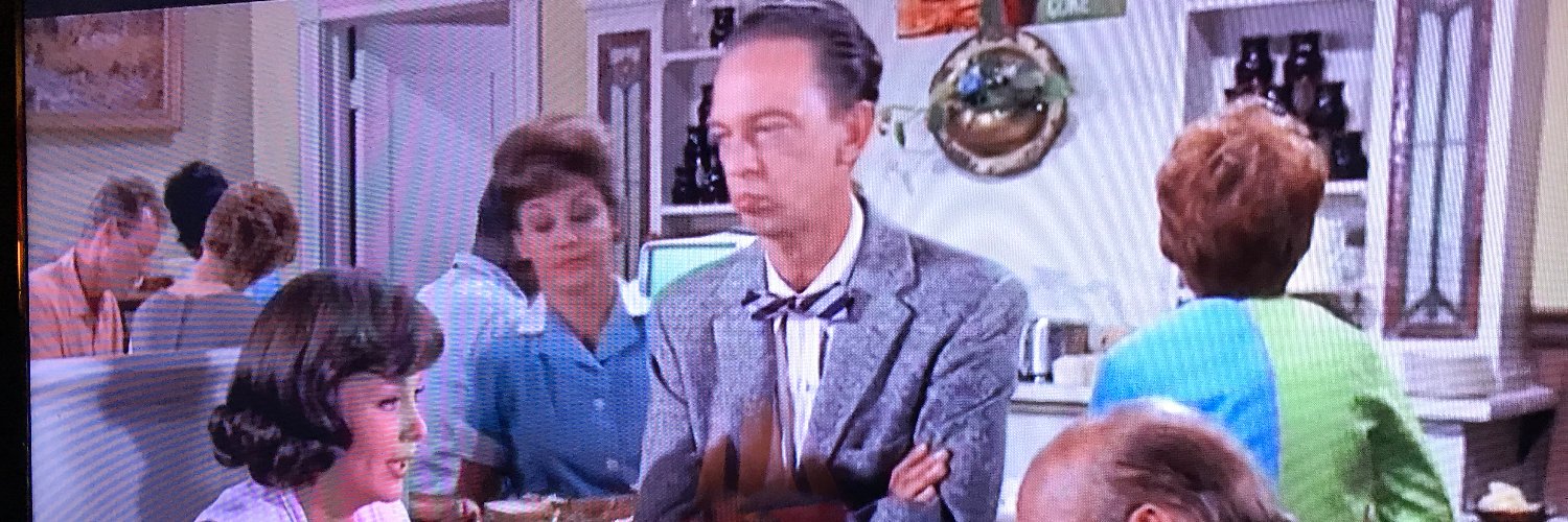 Young Fresh Fellows banner