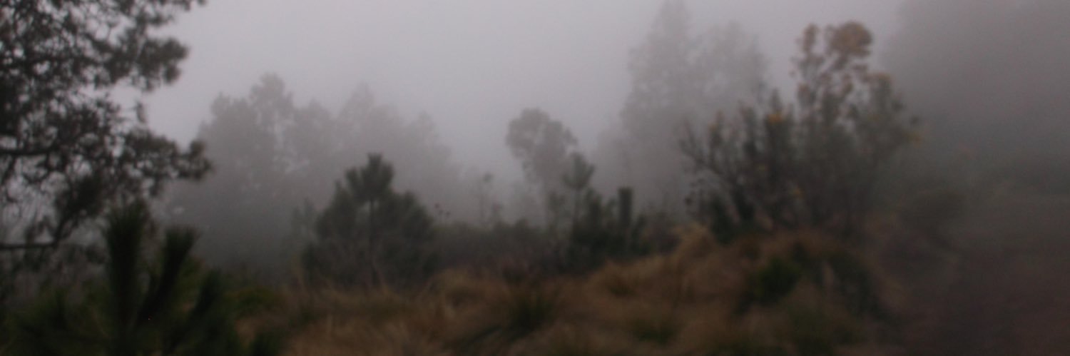 B💕 banner