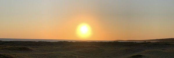 anafer681 Profile Banner