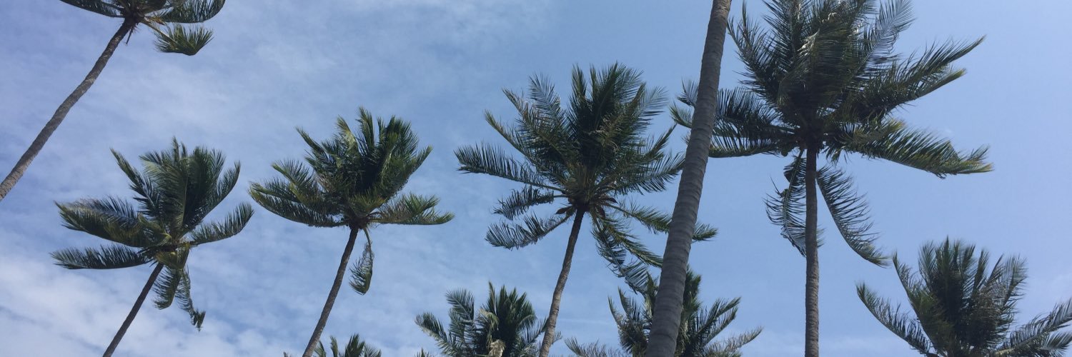 ximengber's profile banner image