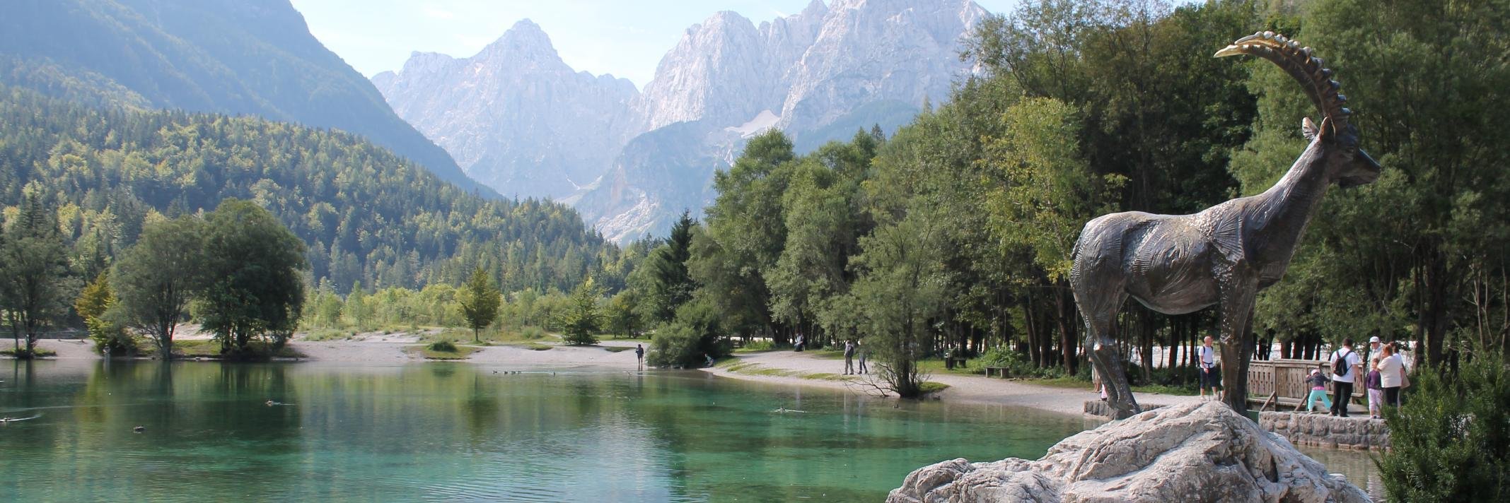 morini_chiara's profile banner image