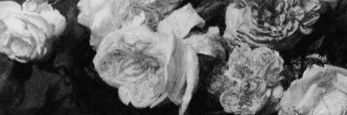 Terrytitties's profile banner image
