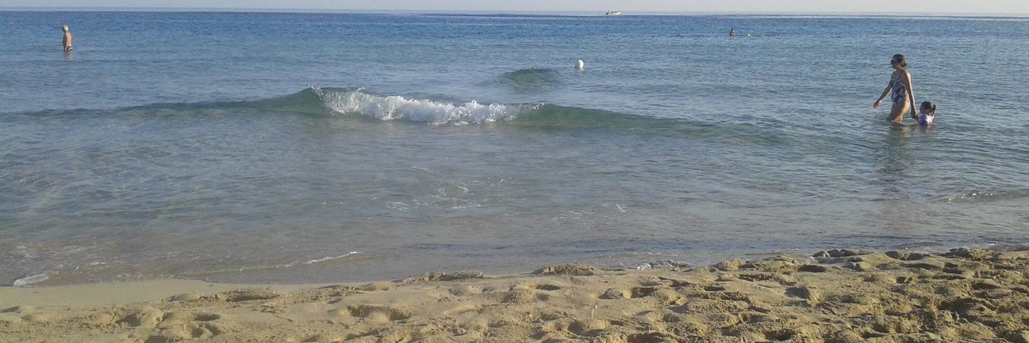 monicaliaci's profile banner image