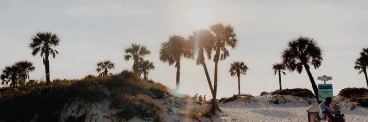carosmith8's profile banner image