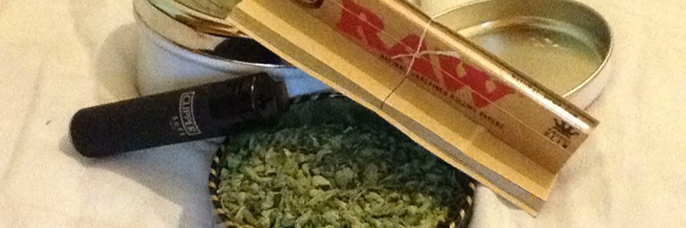 parishealey's profile banner image