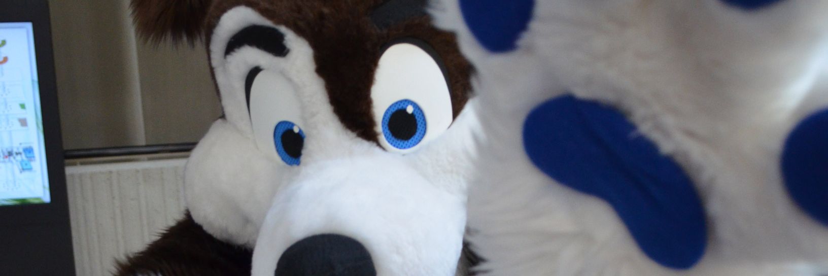 MiloPuppyDog's profile banner image