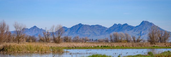 CoachFryan Profile Banner