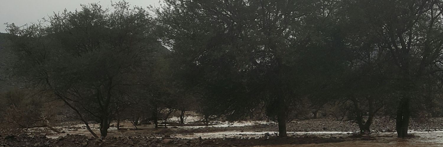 Sniper2010's profile banner image