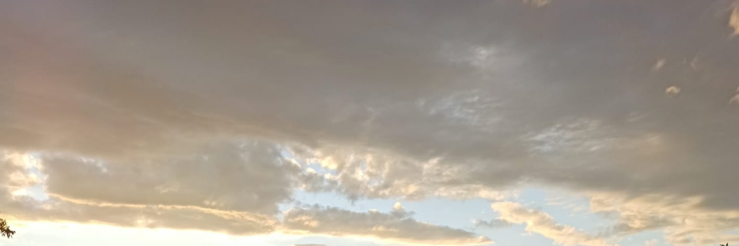 laquecamina's profile banner image