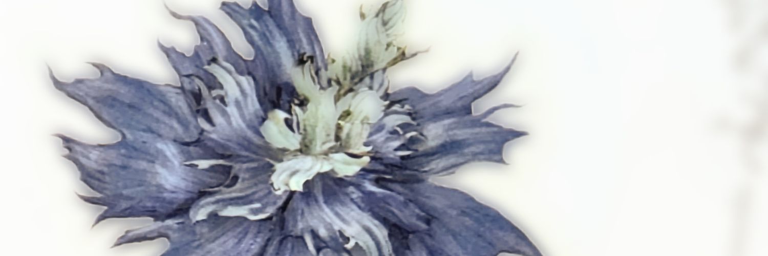 culosuke's profile banner image