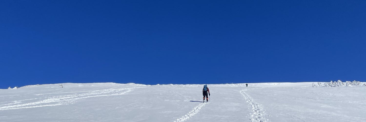 461a（シム banner